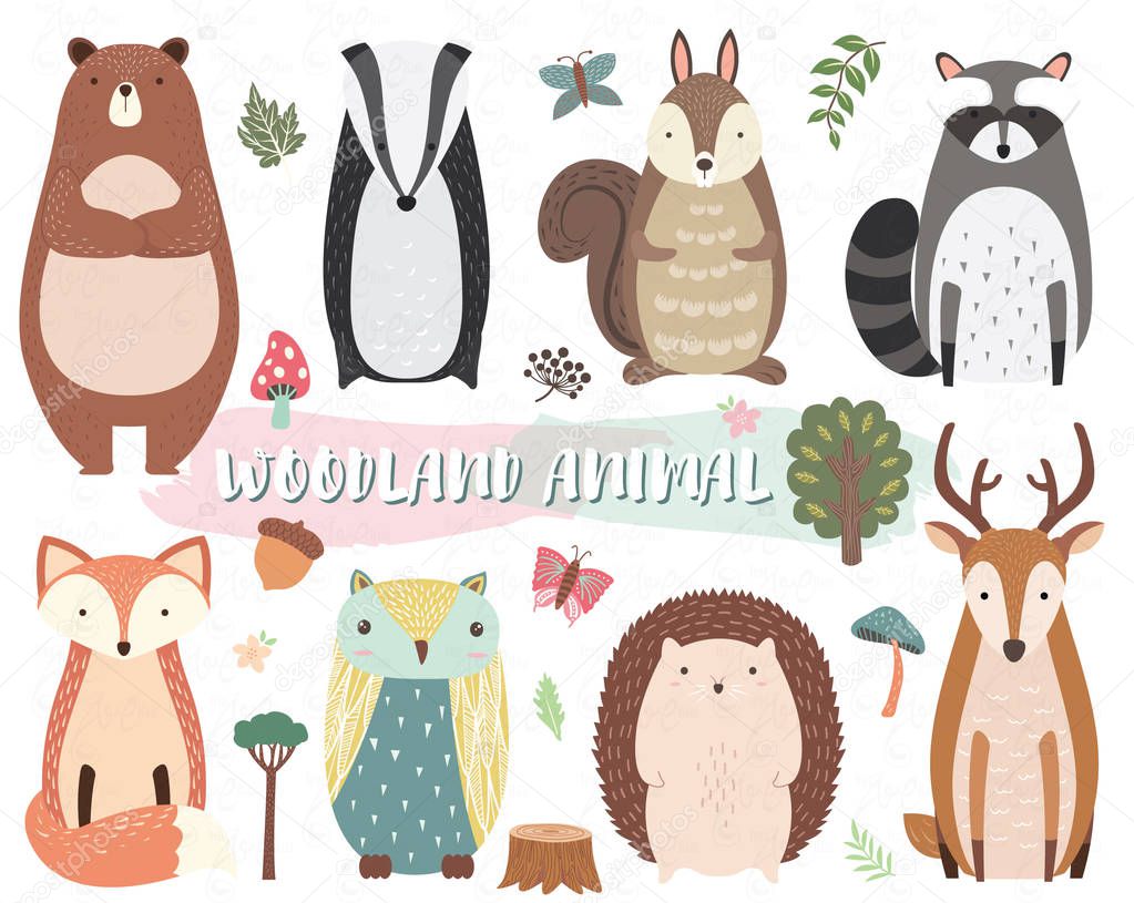 Cute Woodland Animal Collection Set. 