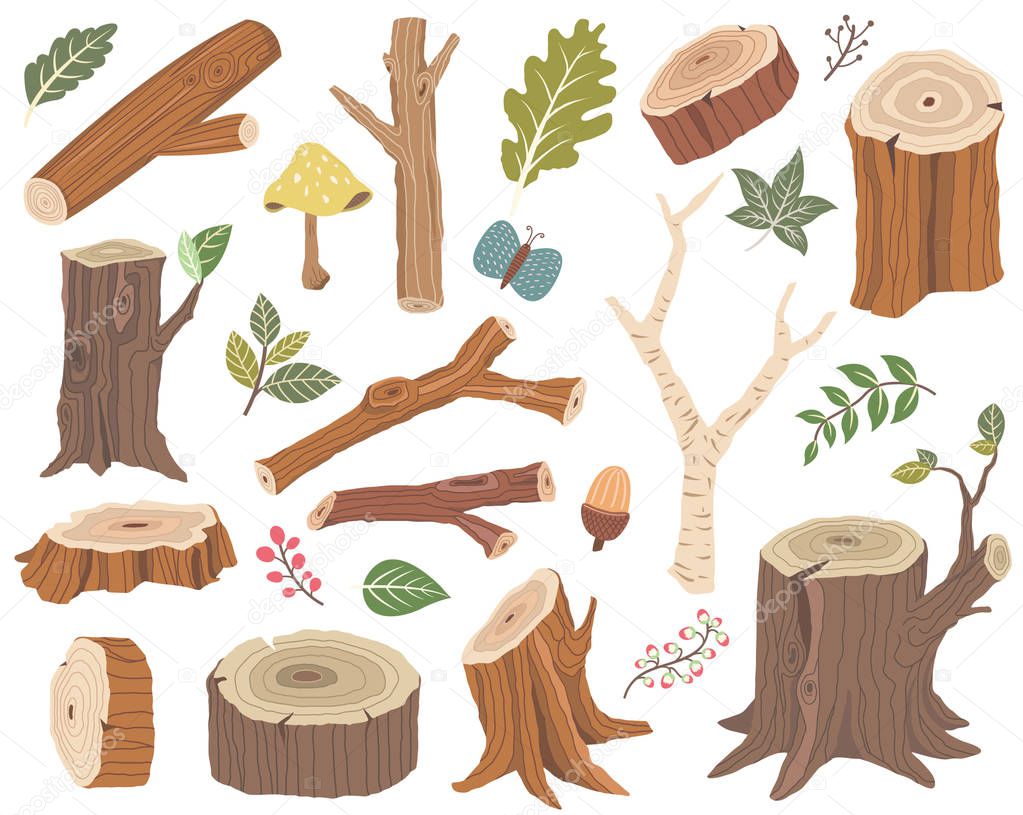 Nature Wooden Collection Elements Set