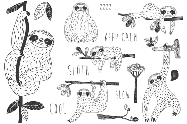 Sloth Lóg Tree Doodle Collection Készlet — Stock Vector