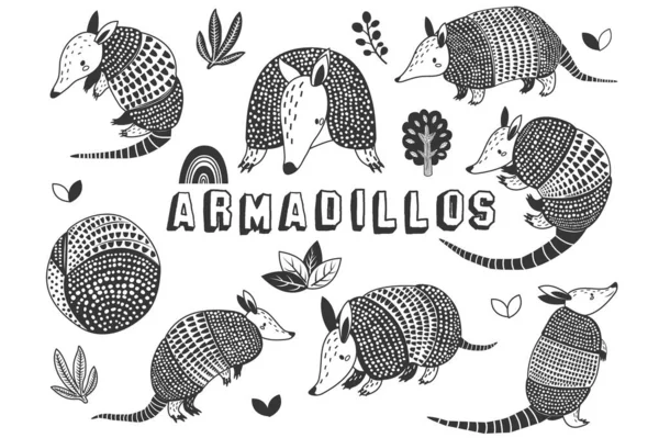 Cute Little Armadillos Doodle Collections Set — Stock Vector