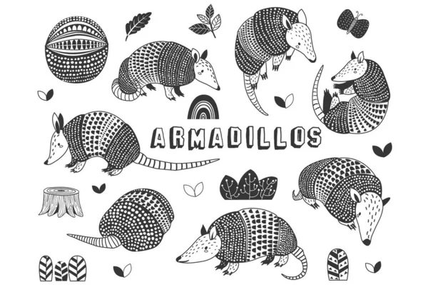 Doodle Cute Little Armadillos Collections Set — Stock Vector