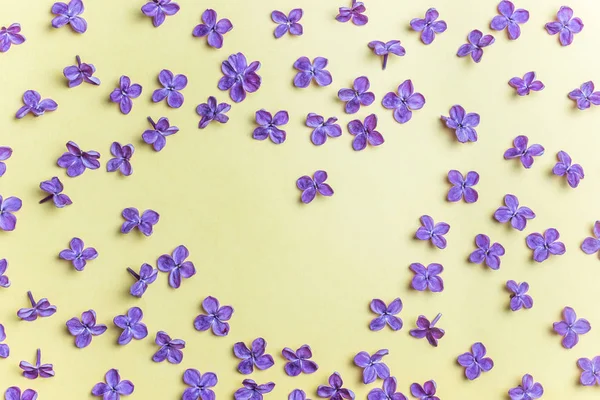 Spring flowers. Purple lilac flowers on yellow background