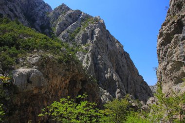 Hırvatistan - Paklenica Milli Parkı Velebit Dağları Starigrad town yakınındaki kuzey Dalmaçya'nda.