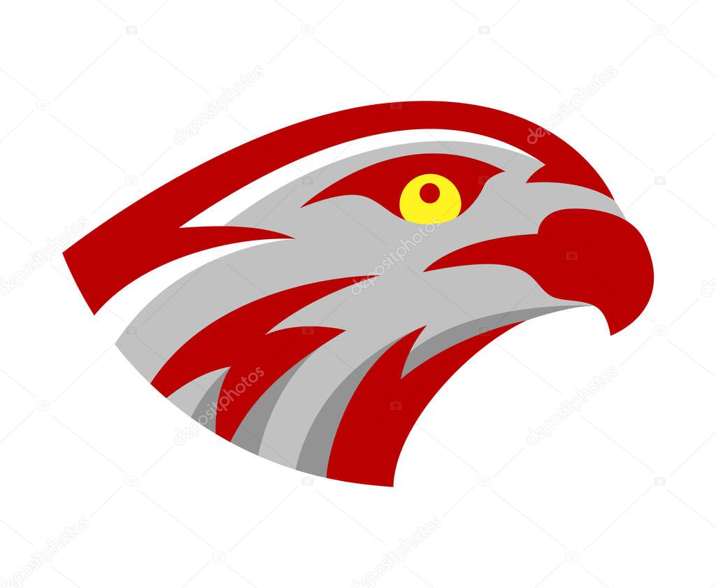 Vector falcon or hawk head sport logo mascot design. American wild eagle abstract bird beak symbol sign concept.