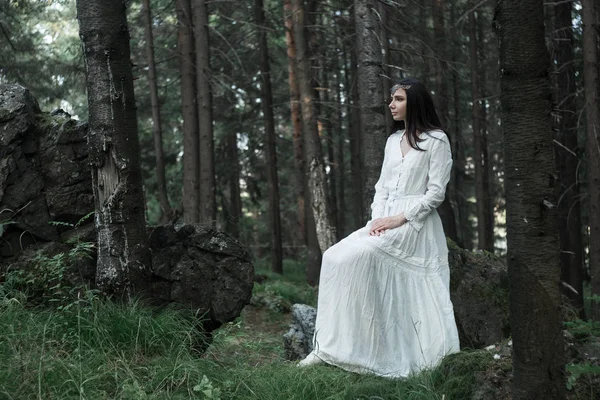 Красивая Молодая Сексуальная Девушка Ходит Отдыхает Сказочном Лесу Белое Нежное — стоковое фото