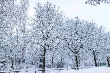 Kışın kar Paris şehri ve Fransa'da onun parkları