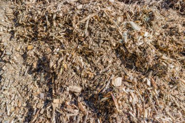 Biyokütle tarım ve ahşap atık, pelets, woodchip enerji üretimi için