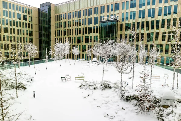 Kışın Kar Paris Şehri Fransa Onun Parkları — Stok fotoğraf