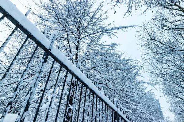 Neve Inverno Cidade Paris Seus Parques França — Fotografia de Stock