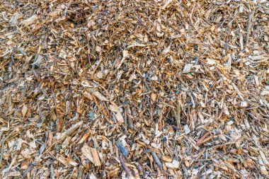 Biyokütle tarım ve ahşap atık, pelets, woodchip enerji üretimi için