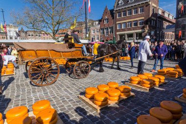 Cheee Pazar Gouda şehir Hollanda