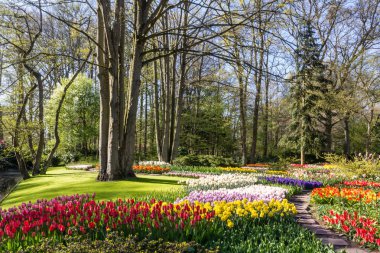 Keukenhof Park ve Bahçe Hollanda Amsterdam yakınındaki