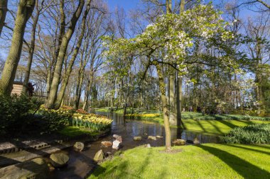 Keukenhof Park ve Bahçe Hollanda Amsterdam yakınındaki