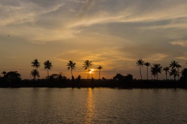 Günbatımı Kerala durgun, palmiye ağaçları ve yaban hayatı Hindistan