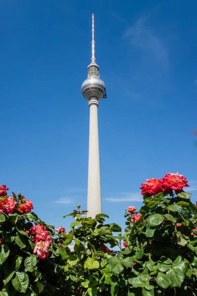 Berliner Fernsehturm Tower Berlino Germania — Foto Stock