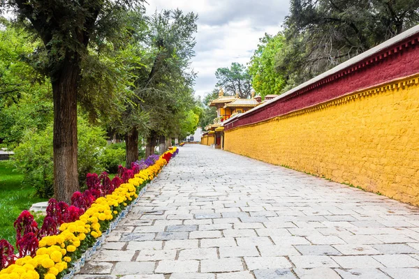 Летний Дворец Норбулинка Далай Лама Лхаса Тибет Лхаса — стоковое фото