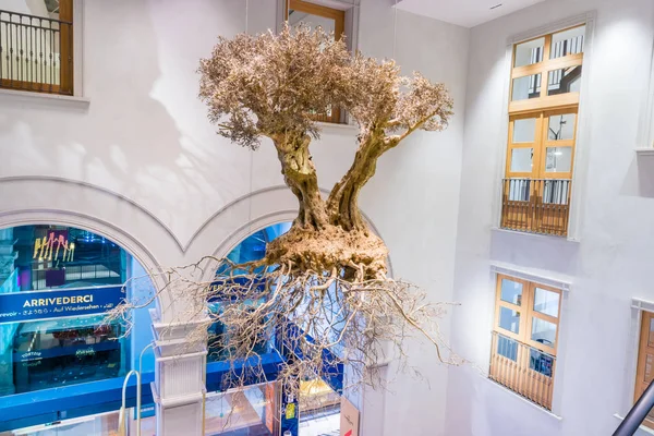 Vackra Olivträd Svävande Luften Som Konst — Stockfoto