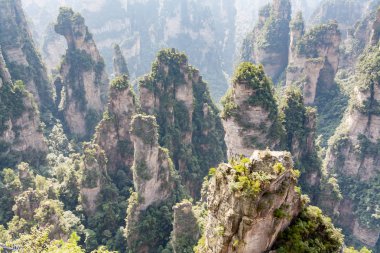 Dağ manzarası zhangjiajie Milli Park Çin zhangjiajie milli park Çin ve Avatar film için ilham kaynağı bulunan bir güzel manzara