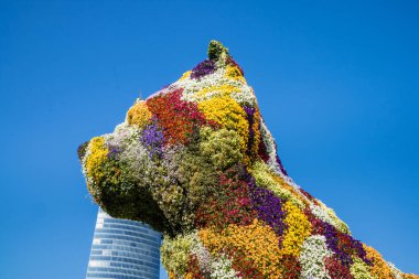Bilbao şehir mimari ve turistik yerler olayları