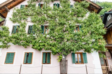 Hallstatt küçük kasaba Avusturya 'da göl kenarında kartpostal görüntüsü olarak