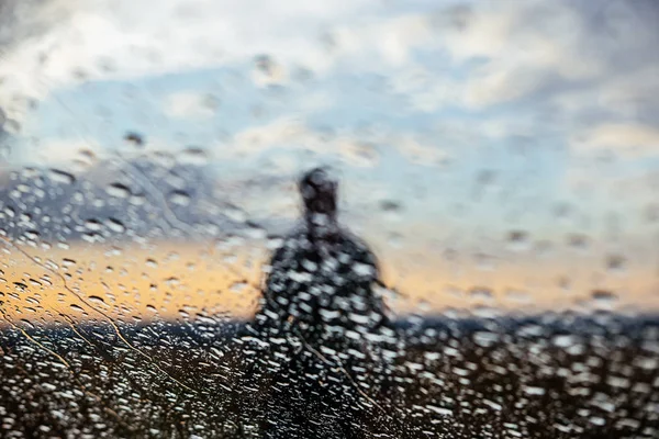 blurred figure of a man on the background of sunset through the glass with raindrops