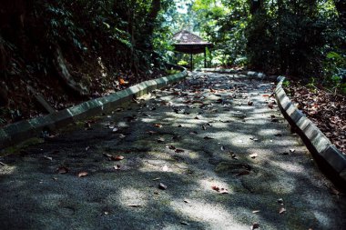 Park sokak güneş parlamayı asfalt üzerinde. Malezya. Kaalu lumpur