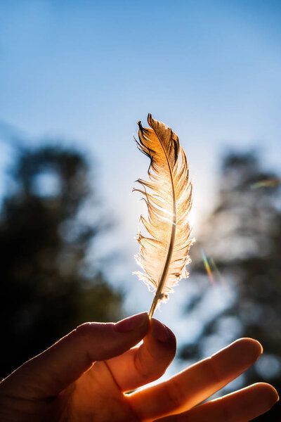 hand holds in his fingers a feather lit by the sun against the blue sky