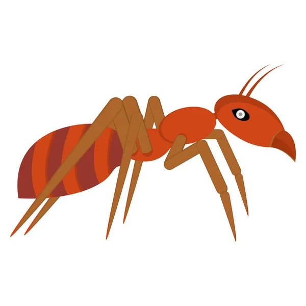 Red ant. Side view. Template, part for design of banner, poster, poster and other ideas. Isolated vector illustration on white background.