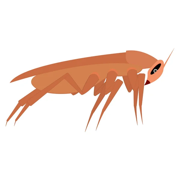 Brown Long Cockroach Side View Template Part Design Isolated Vector — Stock Vector