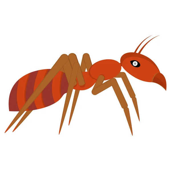 Red ant. Side view. Template, part for design of banner, poster, poster and other ideas. Isolated illustration on white background.