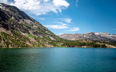  Yosemite Ulusal Parkı, Kaliforniya 'daki Puslu Eski Orman 