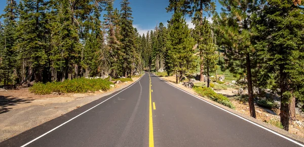 Belle Route Entre Forêt Parc National Yosemite Californie — Photo