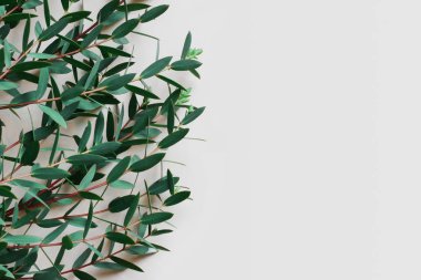 Çiçek sınır ürün reklam yeri olan