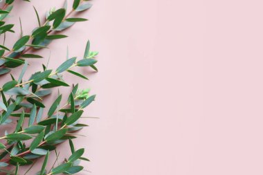 Pembe pembe üzerinde reklam için üzerinde boşaltmak ile sınır