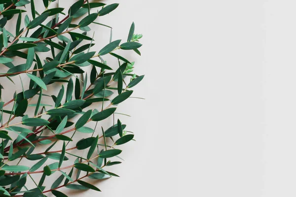 Çiçek sınır ürün reklam yeri olan