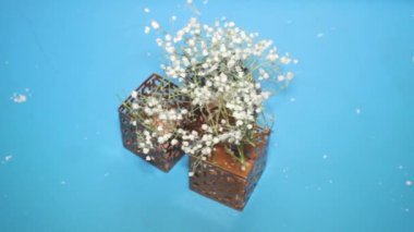 Decorative cotton stick in small bronze vase, slider shot