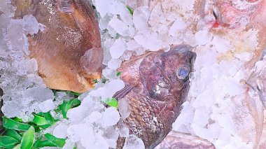 bir Pazar taze balık