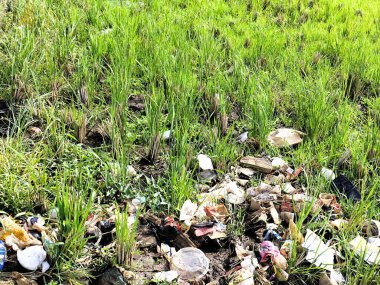 Parkta yeşil çimenler