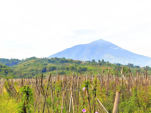 Dağlardaki dağ manzarası