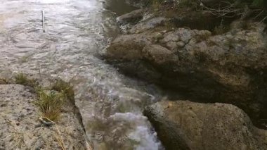 Ormandaki bir şelalenin yakın çekimi.