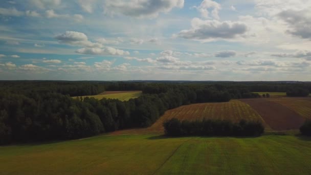 Pohankové Pole Dron Dji Mavic Pro Lety Nad Pole Běloruska — Stock video