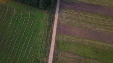 drone ile DJI indeks işlem mavic pro uçuşlar alanları yaz aylarında Beyaz Rusya, köyün alanlar sarı ağaçlarla ile yollar üzerinde trees.flights çam ormanlar ve alanları Beyaz Rusya, Rusya'nın üzerinde