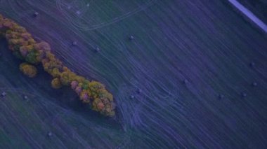 drone ile DJI indeks işlem mavic pro uçuşlar alanları yaz aylarında Beyaz Rusya, köyün alanlar sarı ağaçlarla ile yollar üzerinde trees.flights çam ormanlar ve alanları Beyaz Rusya, Rusya'nın üzerinde