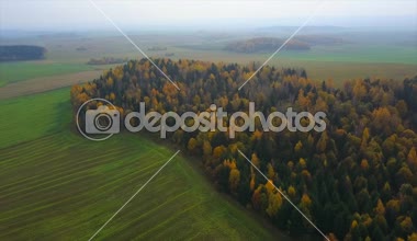 drone ile DJI indeks işlem mavic pro uçuşlar alanları yaz aylarında Beyaz Rusya, köyün alanlar sarı ağaçlarla ile yollar üzerinde trees.flights çam ormanlar ve alanları Beyaz Rusya, Rusya'nın üzerinde