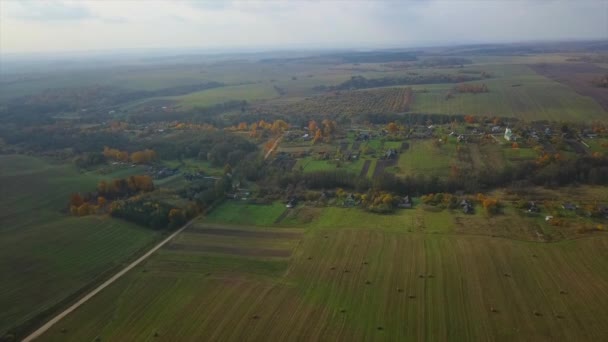 Drohne Dji Mavic Pro Flüge Über Die Felder Von Weißrussland — Stockvideo