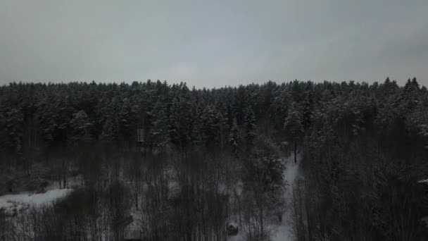 Een Vlucht Naar Dji Mavic Pro Boven Besneeuwde Wegen Bossen — Stockvideo