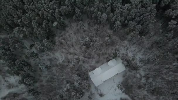 Een Vlucht Naar Dji Mavic Pro Boven Besneeuwde Wegen Bossen — Stockvideo