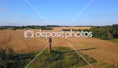 Stork yuvaların sahada dronlar Beyaz Rusya alanları üzerinde uçan yaz, yollar köy yoluyla, sarı ağaçlar, alanlarla pines. Beyaz Rusya, Rusya'nın alanları ve ormanlar üzerine uçan.