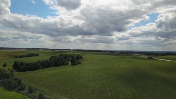 Vuelo Mavic Pro Sol Campos Verdes Prados Bosques Bielorrusia Rusia — Vídeo de stock