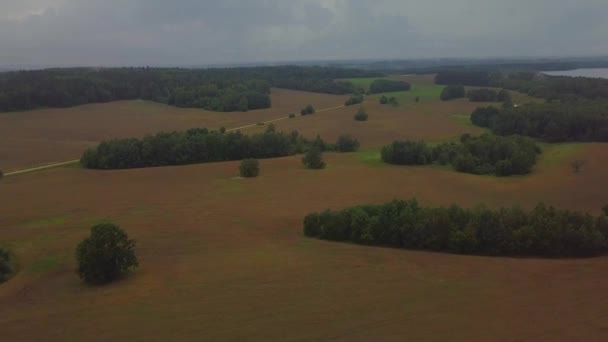 Flygning Drone Över Bovete Fält Ryssland Vitryssland Ukraina Lundar Ekar — Stockvideo